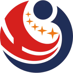 湖南速网信息科技有限公司LOGO